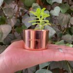 Mini maceta cobre MADECO